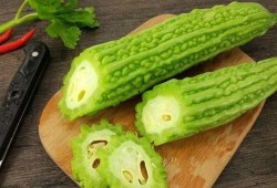 吃瓜网51官网版